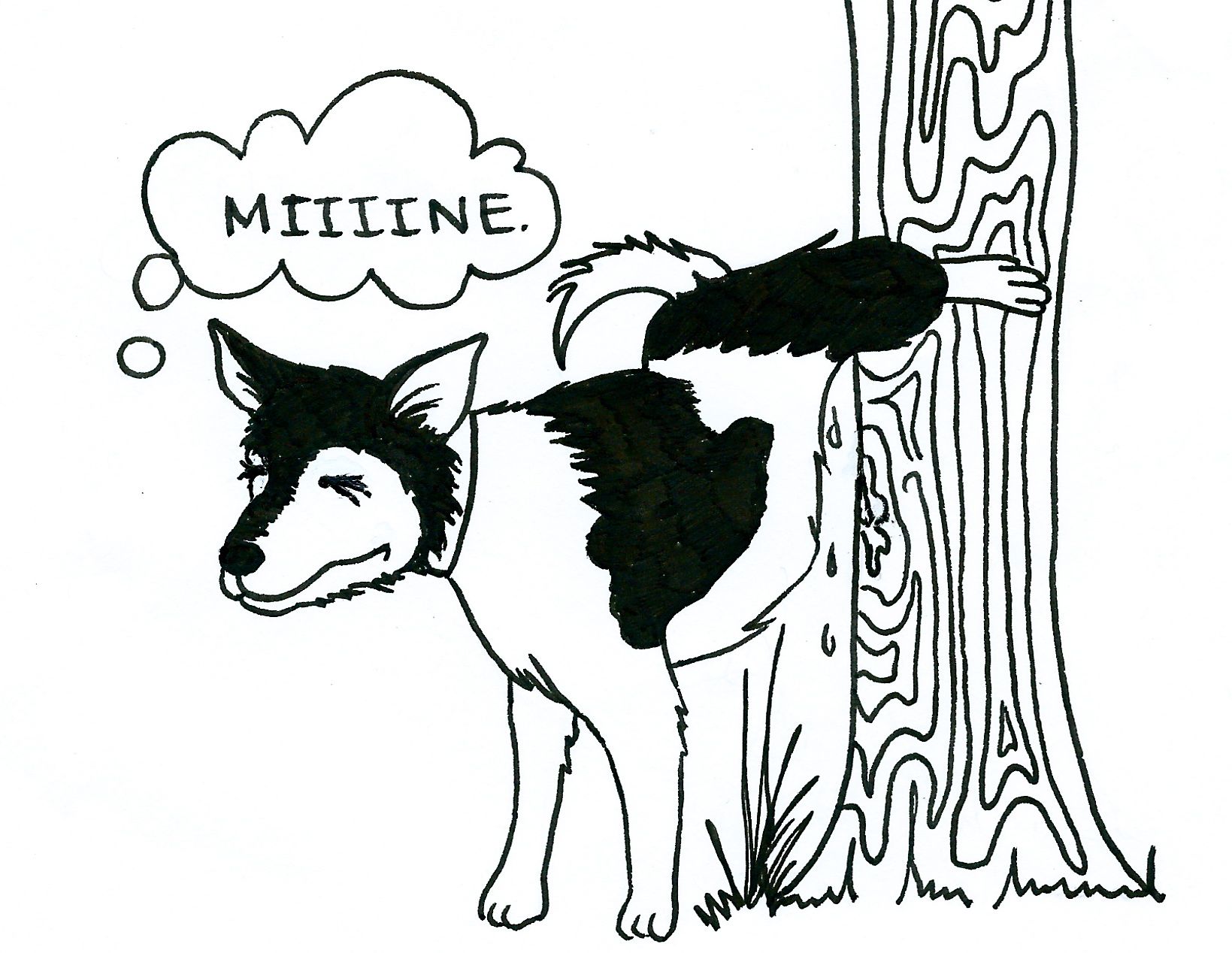 dog marking tree